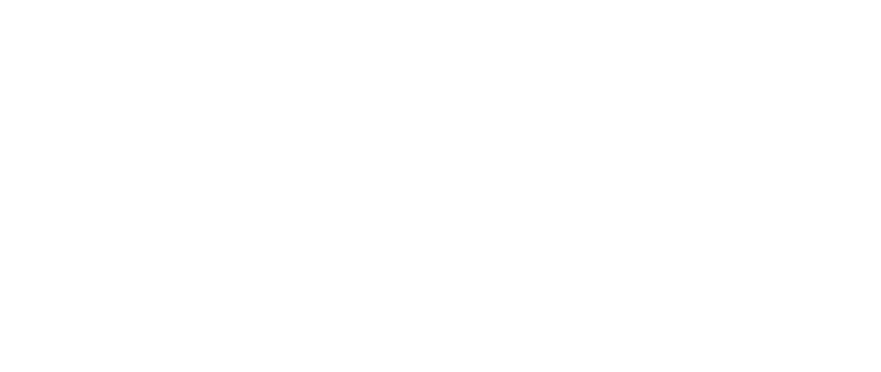 荷兰回国代理 - 通行中国